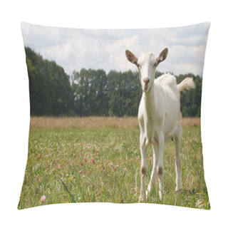 Personality  Curious White Goat Pillow Covers