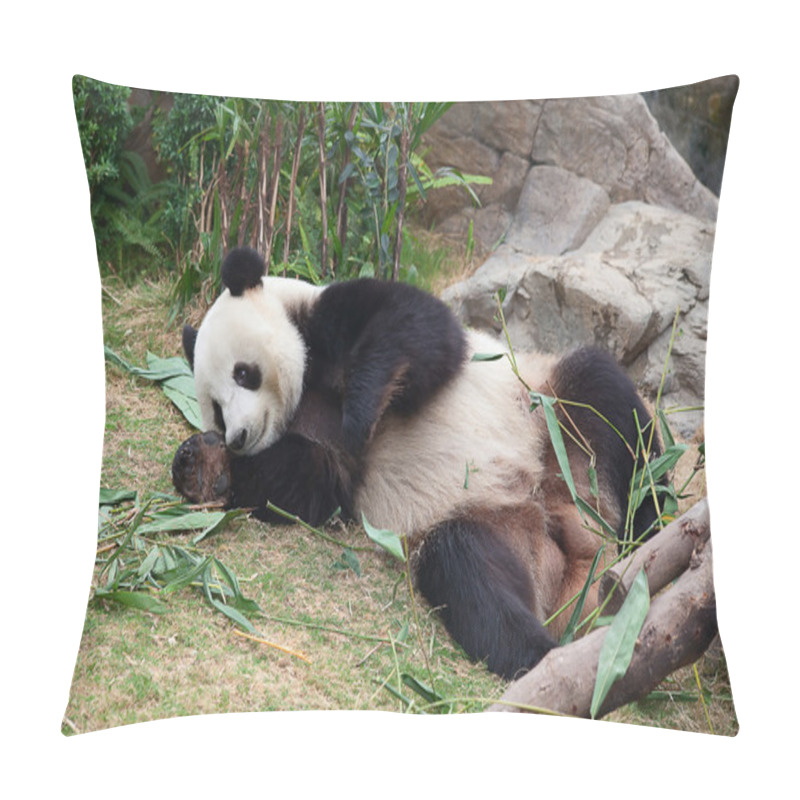 Personality  Panda bear pillow covers