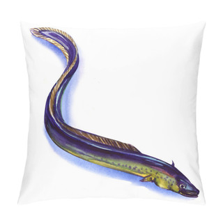 Personality  Fresh European Eel On White Background Pillow Covers