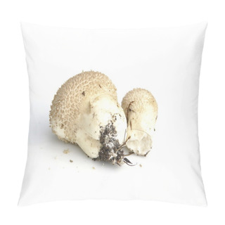 Personality  Common Puffball Mushroom Pillow Covers