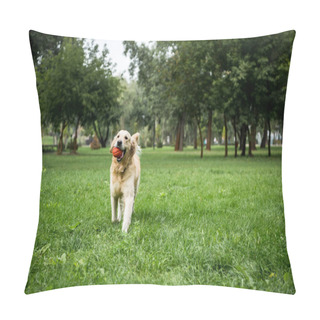 Personality  Golden Retriever Dog Playing With Rubber Ball In Park Pillow Covers