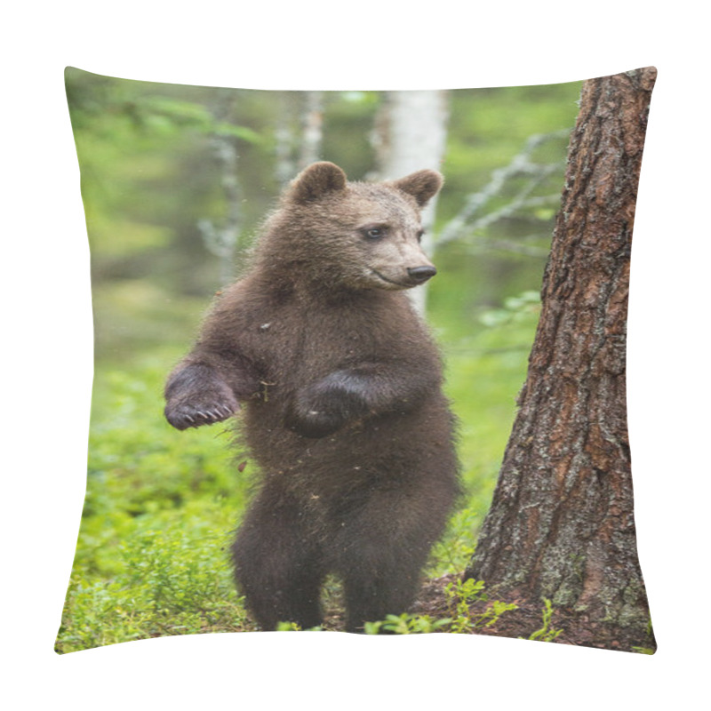 Personality  Bear cub stood up on its hind legs pillow covers