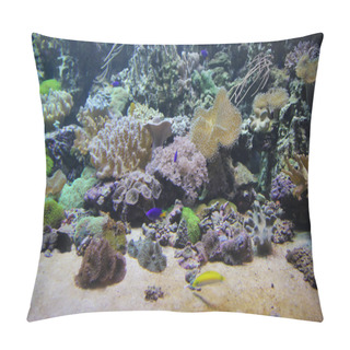Personality  Coral Reef Underwater Pillow Covers
