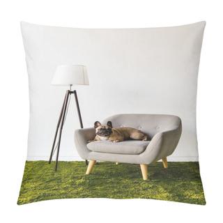 Personality  Dog Lying On Armchair In Room Pillow Covers
