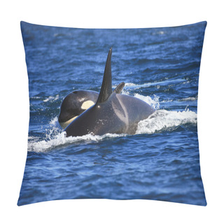 Personality  Killer Whale Female And A Calf Pillow Covers