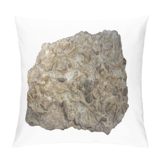 Personality  Fossiliferous Limestone Pillow Covers