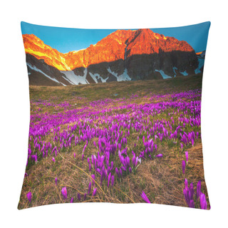 Personality  Purple Valley - Urdin Circus In Rila Mountain At Springtime Pillow Covers