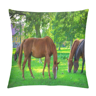 Personality  Horses. Pillow Covers