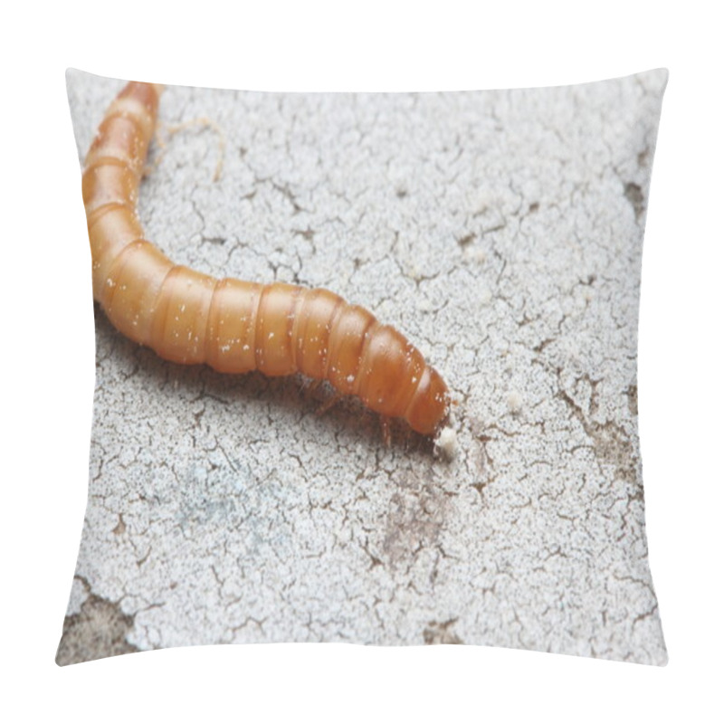 Personality  Mealworm Pillow Covers