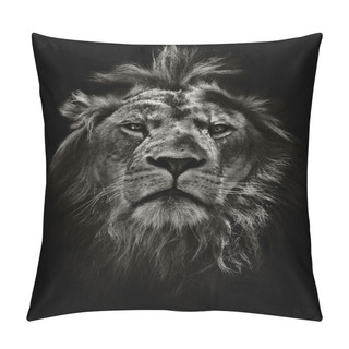 Personality  Arrogant Lion Pillow Covers