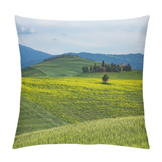 Personality  Tuscany Spring, Rolling Hills On Spring . Rural Landscape. Green Fields And Farmlands. Italy, Europe Pillow Covers