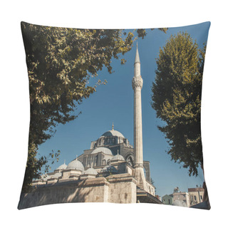 Personality  Trees Near Facade Of Mihrimah Sultan Mosque, Istanbul, Turkey  Pillow Covers