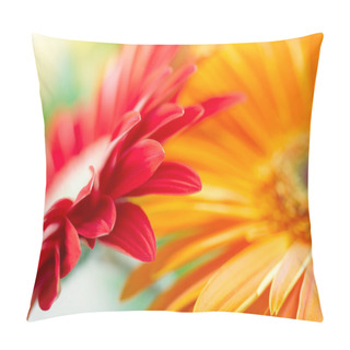 Personality  Closeup Photo Of Red And Yellow Daisy-ge Pillow Covers