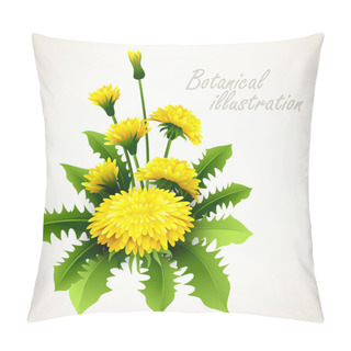 Personality  Botanical Vector Illustration. Vintage Floral Card Pillow Covers