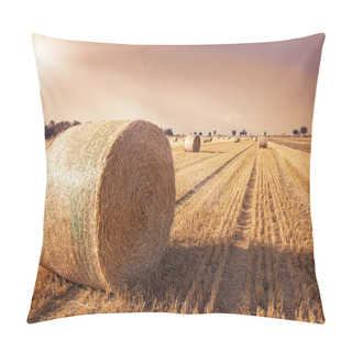 Personality  Round Bales Of Straw Pillow Covers