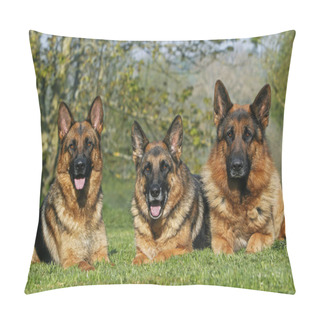 Personality  German Shepherd Dog, Adults Laying On Grass   Pillow Covers