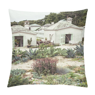 Personality  Garden With Various Cacti And Greenhouses Pillow Covers
