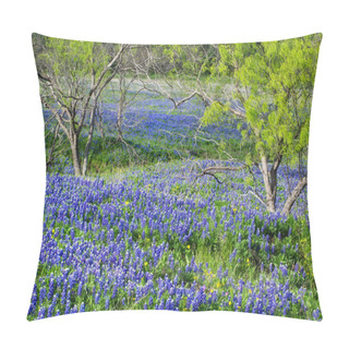 Personality  Texas Bluebonnets Blooming In Spring Pillow Covers
