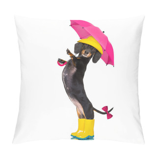 Personality  Sausage Dachshund Umbrella Rain Dog Pillow Covers