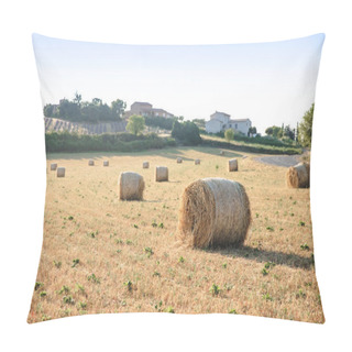 Personality  Countryside Pillow Covers