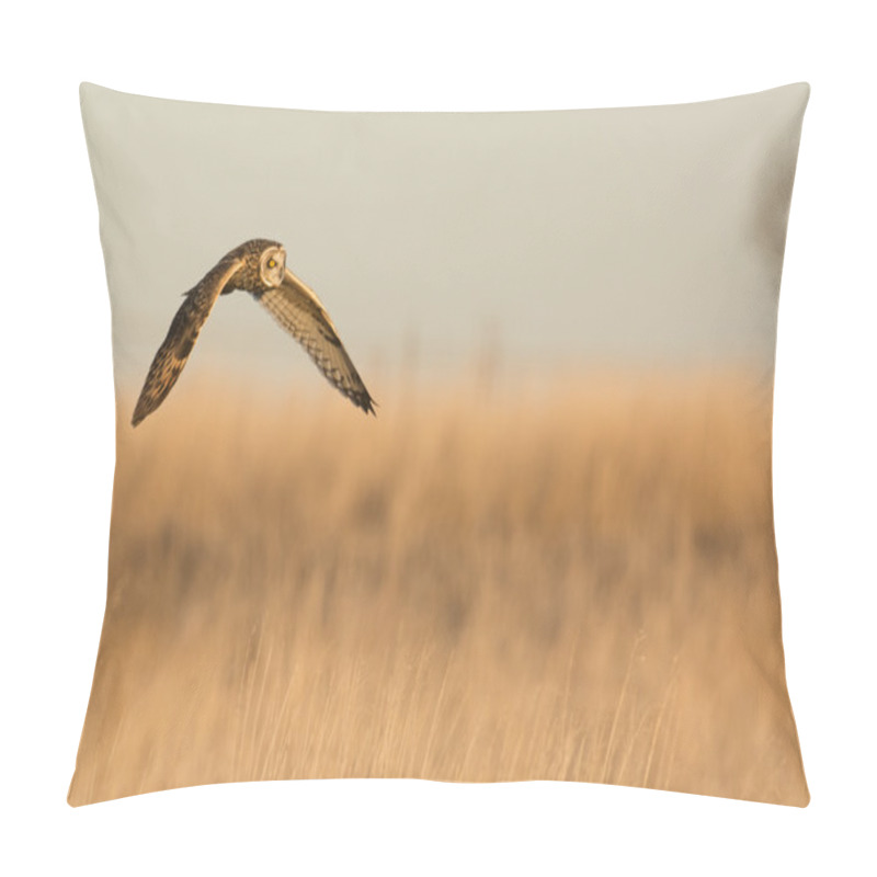 Personality  Short Eared Owl Pillow Covers