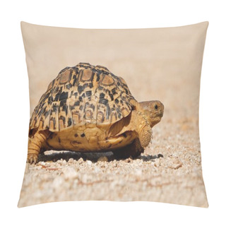 Personality  Leopard Tortoise Walking Pillow Covers
