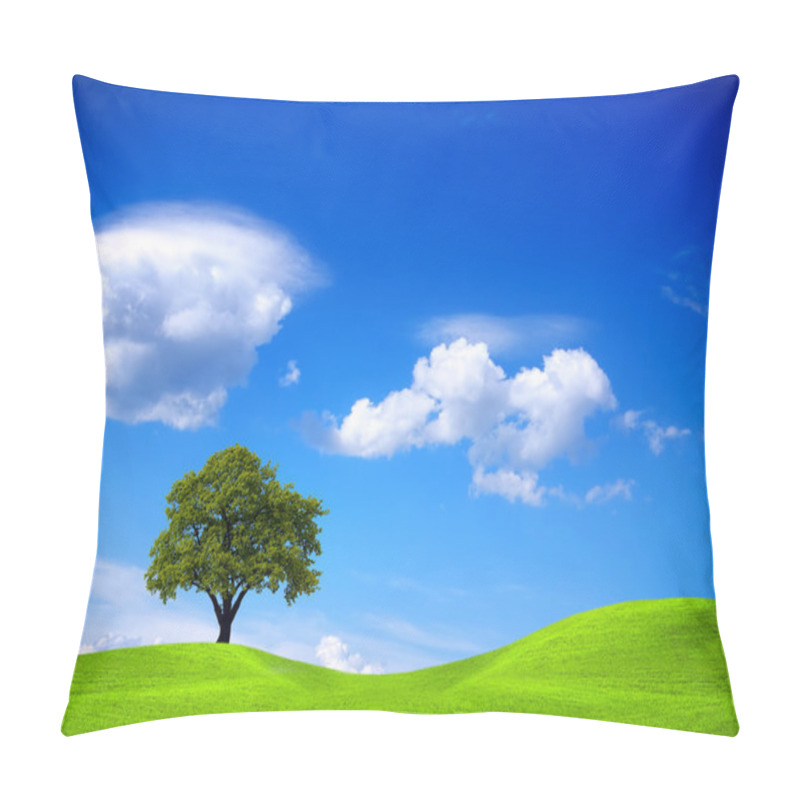 Personality  Ecology and Environment pillow covers