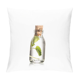 Personality  Studio Shot Of Glass Bottle With Mint Leaves Isolated On White Pillow Covers