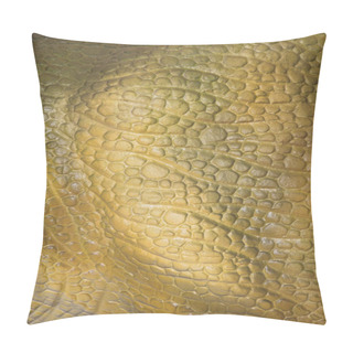 Personality  Wallpaper Close-up On The Skin Of A Dinosaur Or A Rhinoceros Pillow Covers