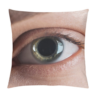 Personality  Close Up View Of Human Green Colorful Eye With Eyelashes Pillow Covers