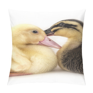 Personality  American Pekin Duckling Pillow Covers