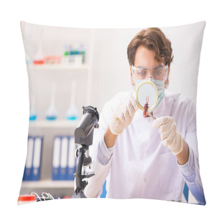 Personality  Male Entomologist Working In The Lab On New Species Pillow Covers