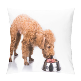 Personality  Poodle Dog Enjoying Her Nutritious And Delicious Raw Meat Meal Pillow Covers
