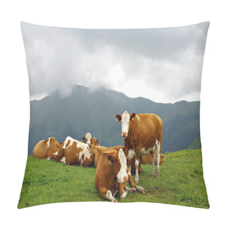 Personality  Austrian  Summer Landscape Pillow Covers