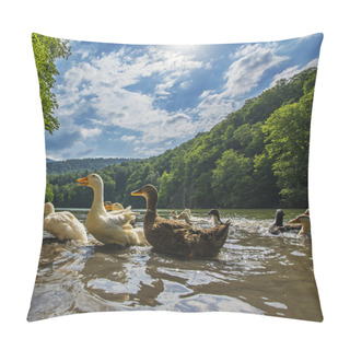 Personality  Ducks At The Lake Parz Lich, Clear Lake, Dilijan, Armenia Pillow Covers
