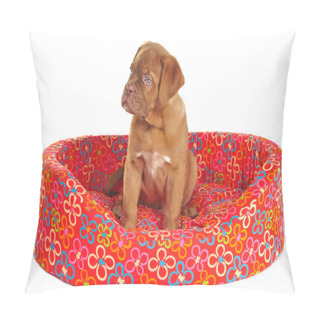 Personality  Puppy Sitting In Its Cot Pillow Covers