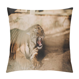 Personality  Close Up View Of Cute Tiger Cub At Zoo Pillow Covers