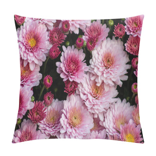 Personality  Sea Of Chrysanthemums. Picturesque Colorful Art Image. Pillow Covers