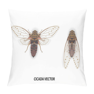 Personality  Cicadas Insect Vector On White Background Pillow Covers