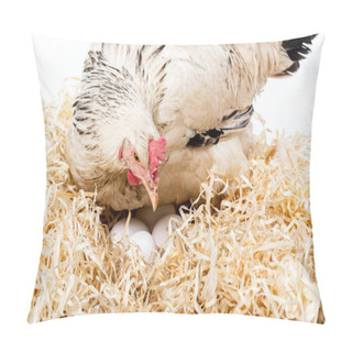 Personality  Close-up View Of White Hen Sitting On Nest With Eggs Isolated On White  Pillow Covers