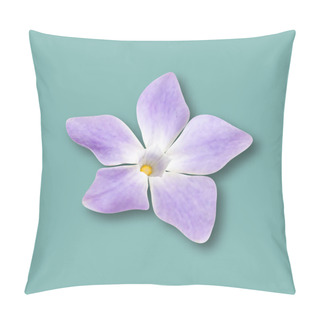 Personality  Realistic Periwinkle Flower Pillow Covers
