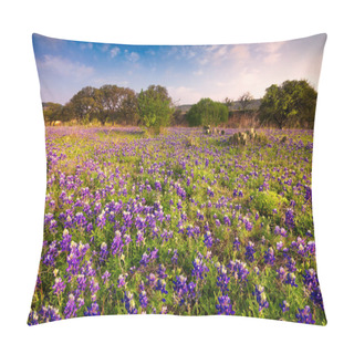 Personality  Bluebonnets Covering A Rural Field Bathed In Early Morning Light Pillow Covers