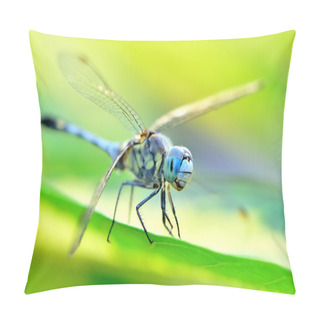 Personality  A Dragonfly On Sunshine Day Pillow Covers