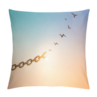Personality  Silhouettes Of Broken Chain And Birds Flying In Sky Pillow Covers