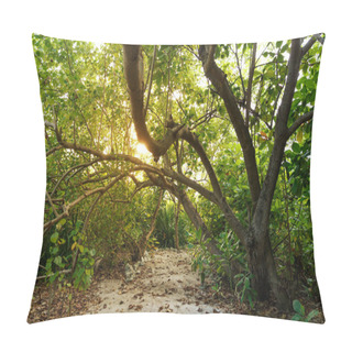 Personality  Sunlight And Trees Pillow Covers