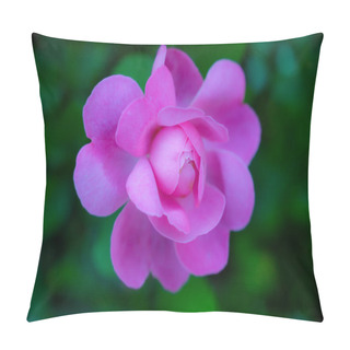 Personality  Pink Roses With Dark Green Background. Pillow Covers