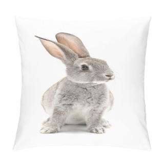 Personality  Grey Rabbit Pillow Covers