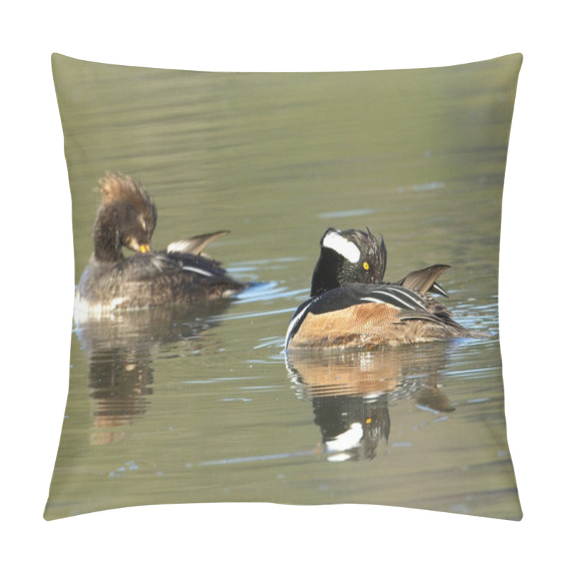 Personality  A Cute Hooded Merganser Couple Preens Together In Calm Water Near Hauser, Idaho. Pillow Covers