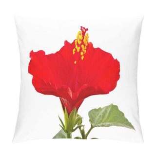 Personality  Hibiscus Pillow Covers