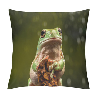 Personality  White's Tree Frog (Litoria Caerulea) - Closeup With Selective Focus Pillow Covers